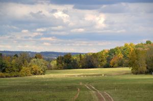 View from the White Clover Sheep Farm 