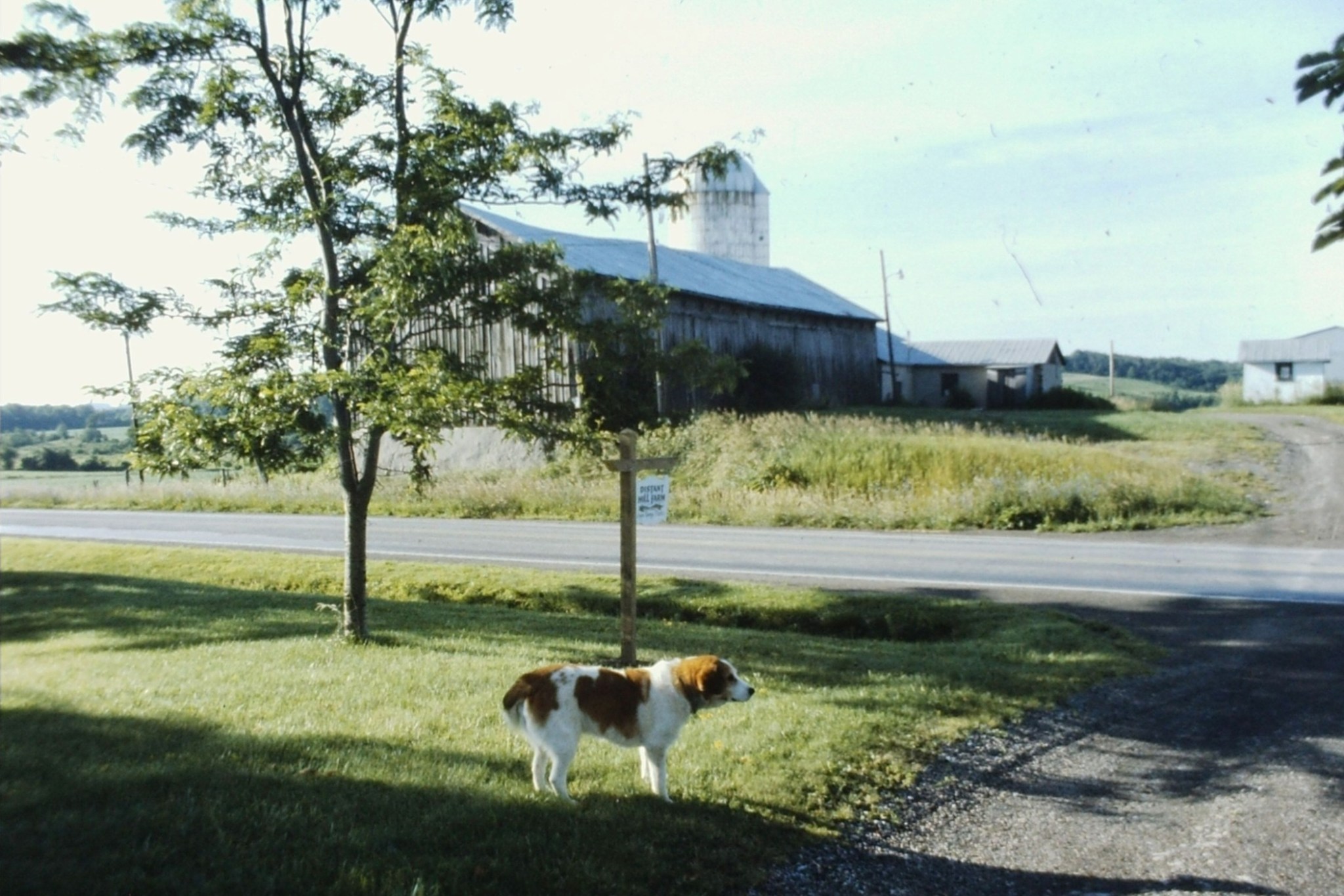 1025170477002_844021182002_1000